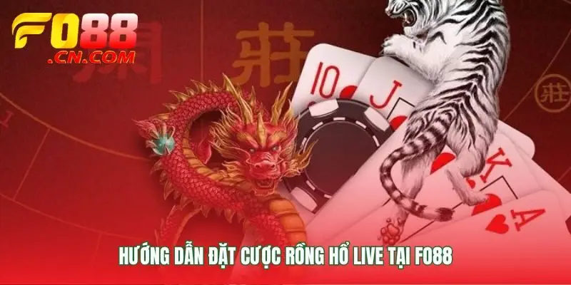 Các bước vào bàn cược và bắt đầu chinh phục