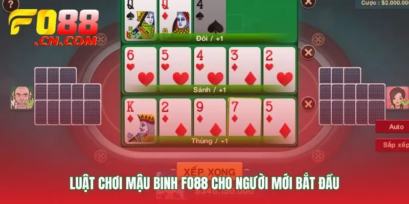 Những nguyên tắc đầu tiên để không bị xử thua oan