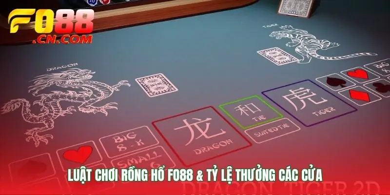 Nền tảng quyết định cho ván cược rồng hổ FO88