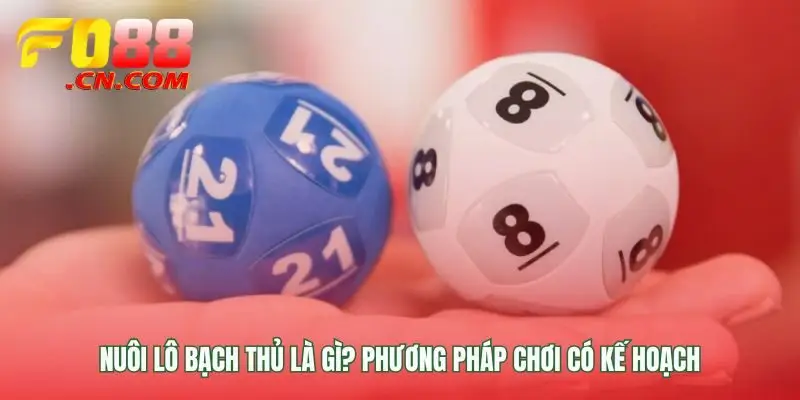 Hiểu đúng về chiến thuật chơi có kỷ luật