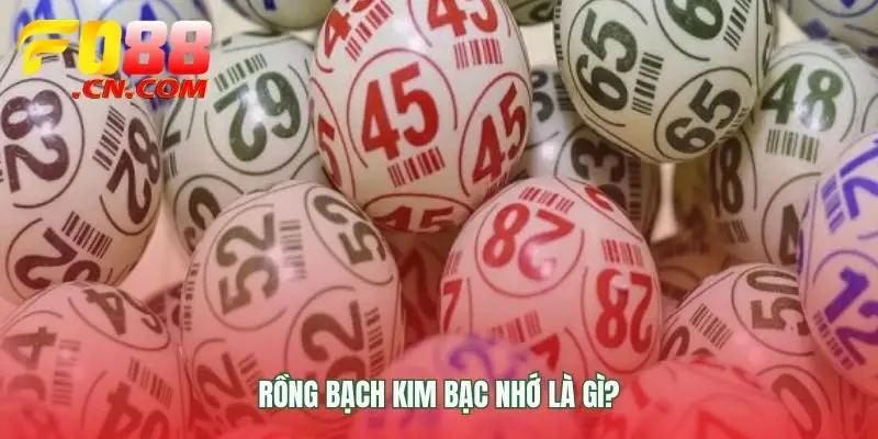 Tìm hiểu về rồng bạch kim bạc nhớ Fo88